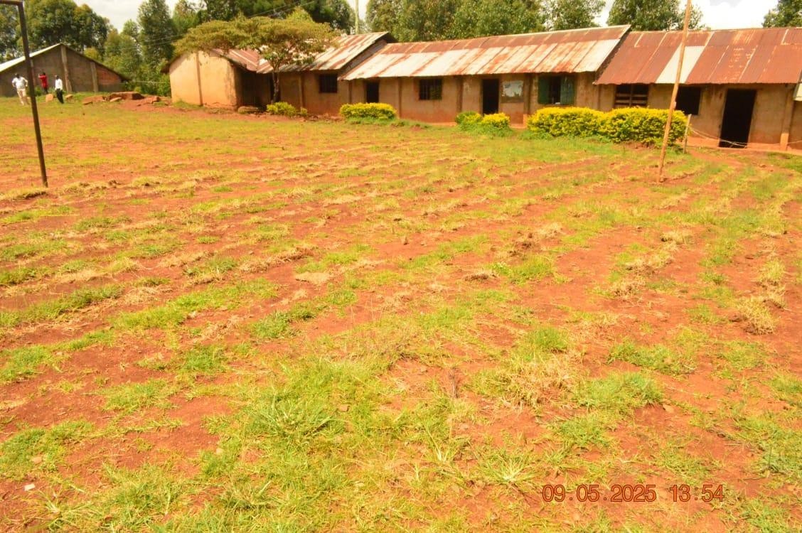 Levelling Of Naybongo Primary